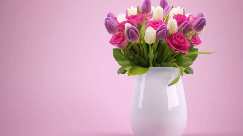 5 Flowers to Send on International Women’s Day
